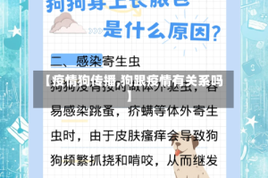 【疫情狗传播,狗跟疫情有关系吗】