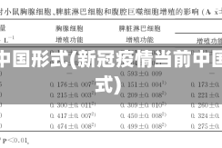 疫情中国形式(新冠疫情当前中国形式)