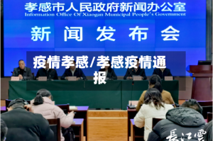 疫情孝感/孝感疫情通报