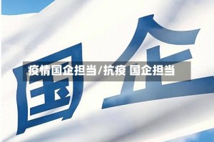疫情国企担当/抗疫 国企担当