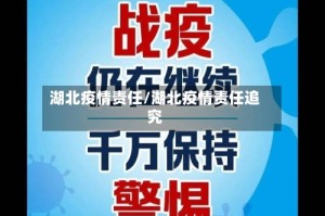 湖北疫情责任/湖北疫情责任追究