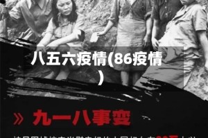 八五六疫情(86疫情)