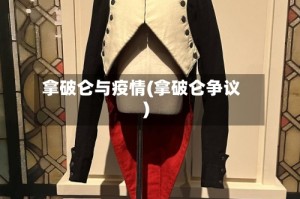 拿破仑与疫情(拿破仑争议)