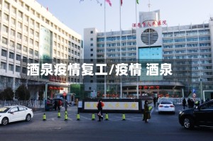 酒泉疫情复工/疫情 酒泉