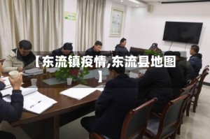 【东流镇疫情,东流县地图】