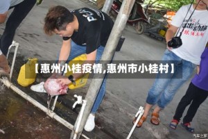 【惠州小桂疫情,惠州市小桂村】