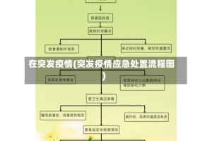 在突发疫情(突发疫情应急处置流程图)