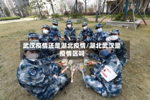 武汉疫情还是湖北疫情/湖北武汉是疫情区吗