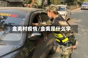 金夷村疫情/金夷是什么字