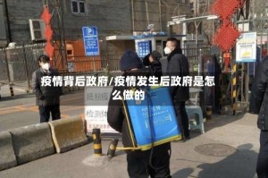 疫情背后政府/疫情发生后政府是怎么做的