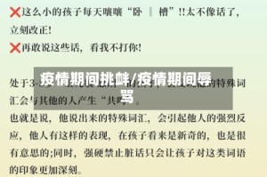 疫情期间挑衅/疫情期间辱骂