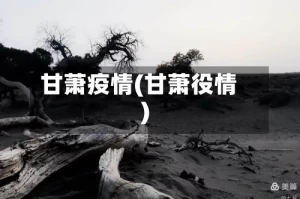 甘萧疫情(甘萧役情)