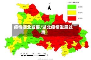 疫情湖北发展/湖北疫情发展过程