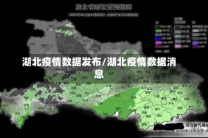湖北疫情数据发布/湖北疫情数据消息