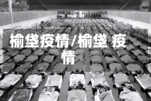 榆垡疫情/榆垡 疫情