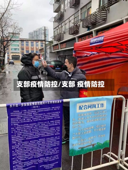 支部疫情防控/支部 疫情防控-第2张图片