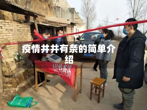 疫情井井有条的简单介绍-第3张图片