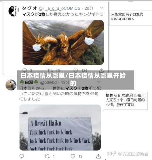 日本疫情从哪里/日本疫情从哪里开始的-第2张图片
