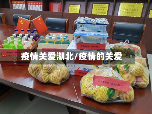 疫情关爱湖北/疫情的关爱-第2张图片