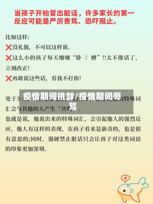 疫情期间挑衅/疫情期间辱骂-第1张图片