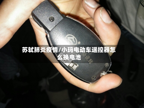 苏轼肺炎疫情/小玛电动车遥控器怎么换电池-第1张图片