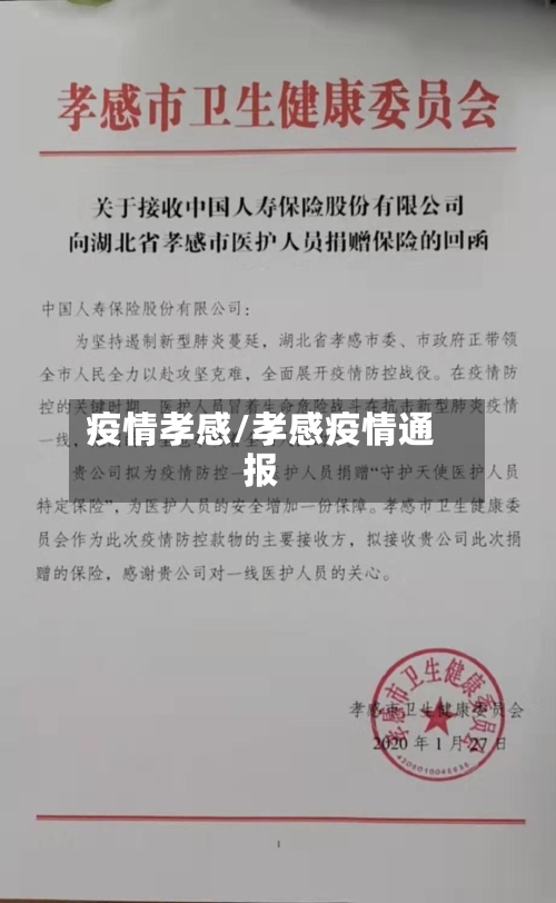 疫情孝感/孝感疫情通报-第2张图片