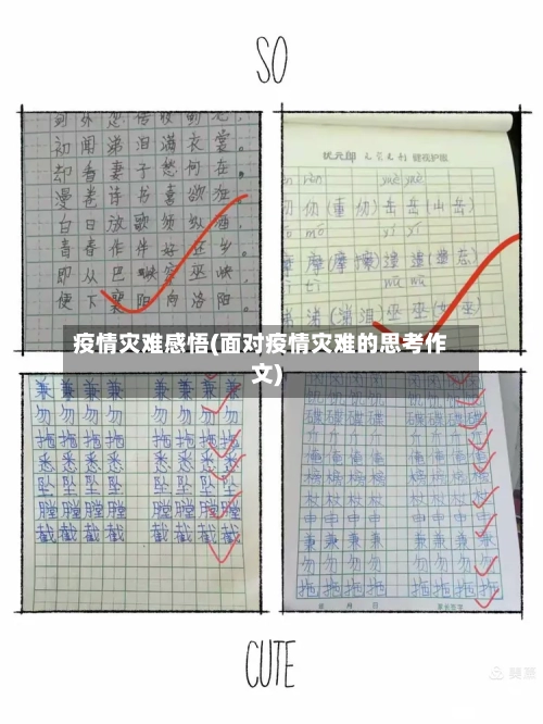 疫情灾难感悟(面对疫情灾难的思考作文)-第2张图片