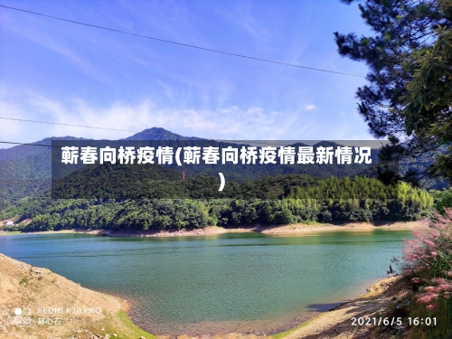 蕲春向桥疫情(蕲春向桥疫情最新情况)-第2张图片