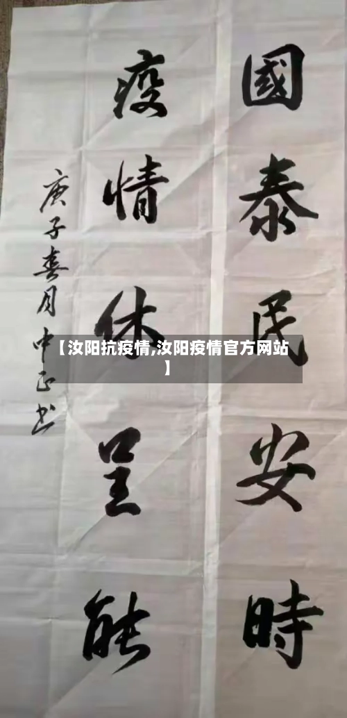 【汝阳抗疫情,汝阳疫情官方网站】-第1张图片