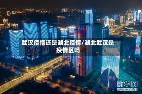 武汉疫情还是湖北疫情/湖北武汉是疫情区吗-第2张图片