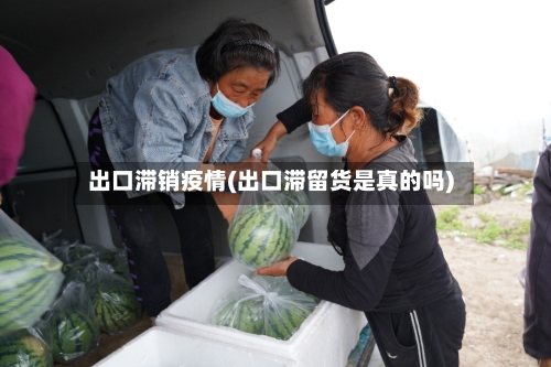 出口滞销疫情(出口滞留货是真的吗)-第3张图片