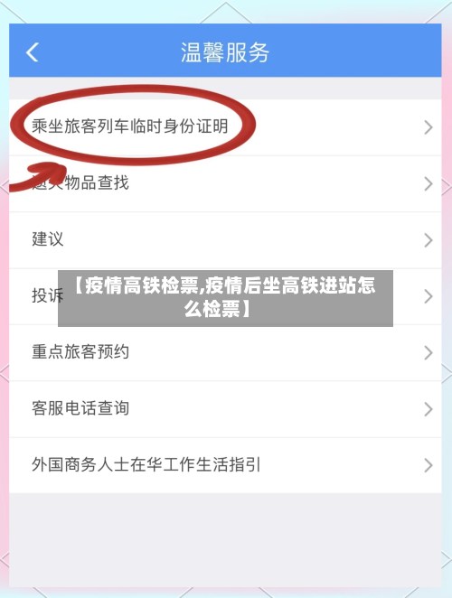 【疫情高铁检票,疫情后坐高铁进站怎么检票】-第1张图片