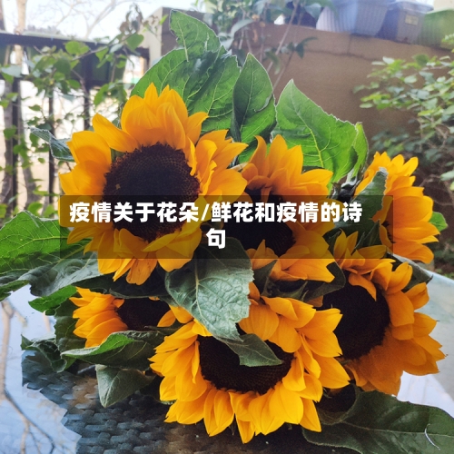 疫情关于花朵/鲜花和疫情的诗句-第2张图片