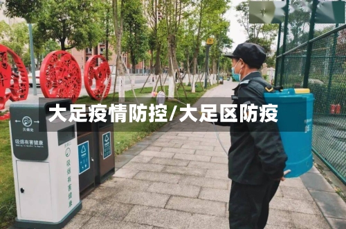 大足疫情防控/大足区防疫-第1张图片