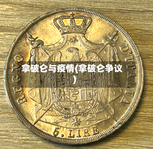 拿破仑与疫情(拿破仑争议)-第3张图片