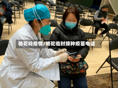 骆驼岭疫情/骆驼临时接种疫苗电话-第1张图片