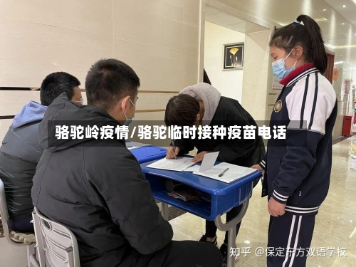 骆驼岭疫情/骆驼临时接种疫苗电话-第3张图片