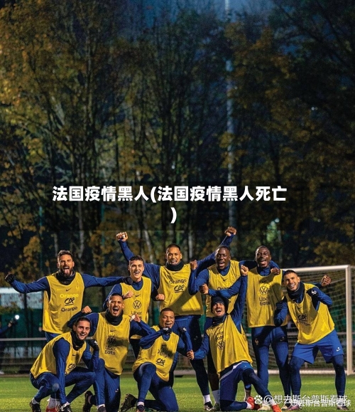 法国疫情黑人(法国疫情黑人死亡)-第1张图片