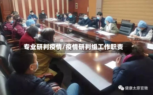 专业研判疫情/疫情研判组工作职责-第1张图片