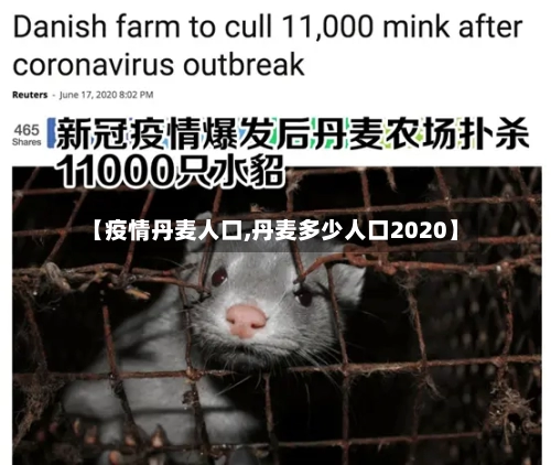 【疫情丹麦人口,丹麦多少人口2020】-第2张图片