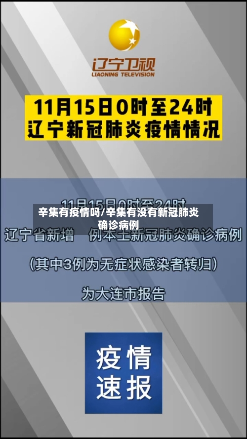 辛集有疫情吗/辛集有没有新冠肺炎确诊病例-第2张图片